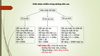 Chẩn đoán nhiễm trùng đường tiểu cao
Viêm thận bể thận
Ở trẻ lớn Ở trẻ bú mẹ Trẻ sơ sinh
Sốt cao rét run
Đau vùng thắt lưng
Rối loạn tiểu tiện (+)
VK niệu (+) > 105/ml
BC niệu (+) -> nhiều
CRP>30
BC>15000
Sốt cao rét run
RL tiêu hóa,
Rối loạn tiểu tiện (+)
VK niệu (+) > 105/ml
BC niệu (+) -> nhiều
CRP > 30
BC> 15000
Sốt cao hoặc hạ nhiệt độ
Vàng da hoặc bỏ bú
Rối loạn tiêu hóa
VK niệu (+) > 105/ml
BC niệu (+) -> nhiều
CRP >30
BC tăng > 20000 hoặc hạ
* Dễ nhầm lẫn: ở trẻ SS và bú mẹ
- Đường tiêu hoá: nôn, ỉa lỏng...
- Tăng trưởng: chậm tăng trưởng
- Sốt đơn độc
 