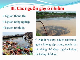 III. Các nguồn gây ô nhiễm
 Nguồn thành thị

 Nguồn nông nghiệp

 Nguồn tự nhiên



                       Ngoài ra còn : nguồn tập trung,
                      nguồn không tập trung, nguồn có
                      thể khống chế được, nguồn không
                      thể khống chế được.
 