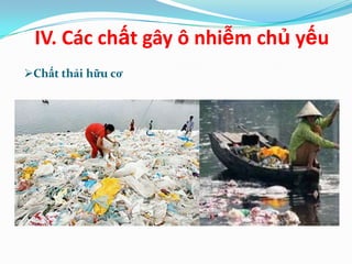 IV. Các chất gây ô nhiễm chủ yếu
Chất thải hữu cơ
 