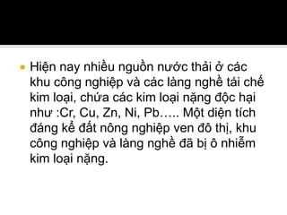    Hiện nay nhiều nguồn nước thải ở các
    khu công nghiệp và các làng nghề tái chế
    kim loại, chứa các kim loại nặng độc hại
    như :Cr, Cu, Zn, Ni, Pb….. Một diện tích
    đáng kể đất nông nghiệp ven đô thị, khu
    công nghiệp và làng nghề đã bị ô nhiễm
    kim loại nặng.
 