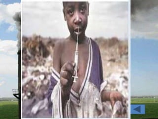 ô Nhiễm môi trường đất