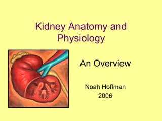 Kidney Anatomy and
    Physiology

        An Overview

         Noah Hoffman
            2006
 