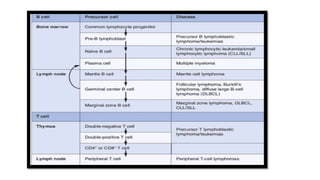 non hodgkin lymphoma | PPTX