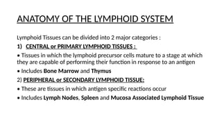 Approach to Non hodgkins lymphoma 1.pptx