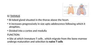 Approach to Non hodgkins lymphoma 1.pptx
