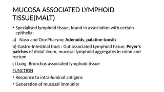 Approach to Non hodgkins lymphoma 1.pptx