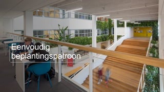 Eenvoudig
beplantingspatroon
 