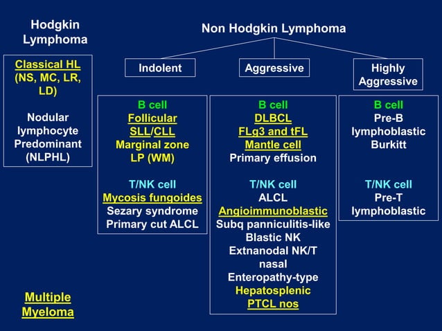 Non Hodgkin Lymphoma treatment update (1).pptx | Blood Disorders ...