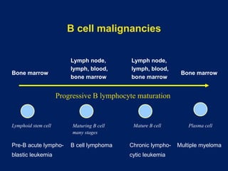 Non Hodgkin Lymphoma treatment update (1).pptx