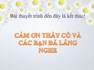 Nhóm 1   bài 8