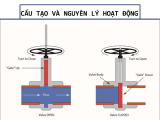 CẤU TẠO VÀ NGUYÊN LÝ HOẠT ĐỘN
 