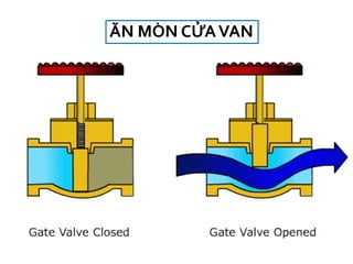 ĂN MÒN ỬAմ
 