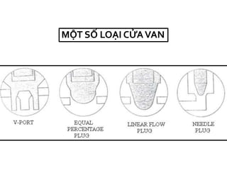 MỘT SỐ LOẠI ỬAմ
 