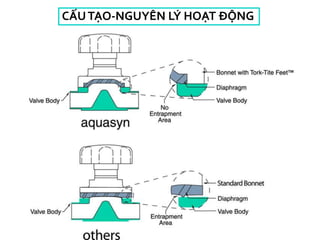 CẤUTẠO-NGUYÊN LÝ HOẠT ĐỘN
 