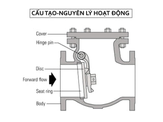 CẤUTẠO-NGUYÊN LÝ HOẠT ĐỘN
 