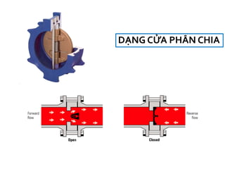 DẠNG CỬA PHÂN CHIA
 