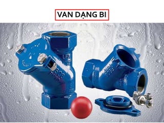 VAN DẠNG BI
 