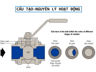 CẤU TẠO-NGUYÊN LÝ HOẠT ĐỘN
 