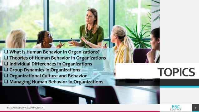 Humanor not? visual data 8