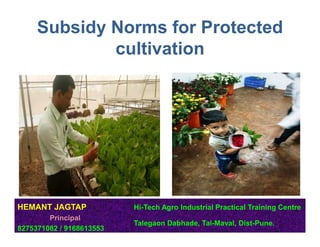 Subsidy Norms for Protected
cultivation
1
HEMANT JAGTAP Hi-Tech Agro Industrial Practical Training Centre
Principal
Talegaon Dabhade, Tal-Maval, Dist-Pune.
8275371082 / 9168613553
 