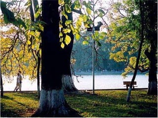 Nhớ Mùa Thu Hà Nội