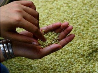 Nhớ Mùa Thu Hà Nội