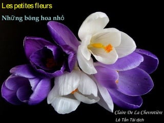 Les petites fleurs
Nhữ ng bông hoa nhỏ

Claire De La Chevrotière
Lê Tấn Tài dịch

 