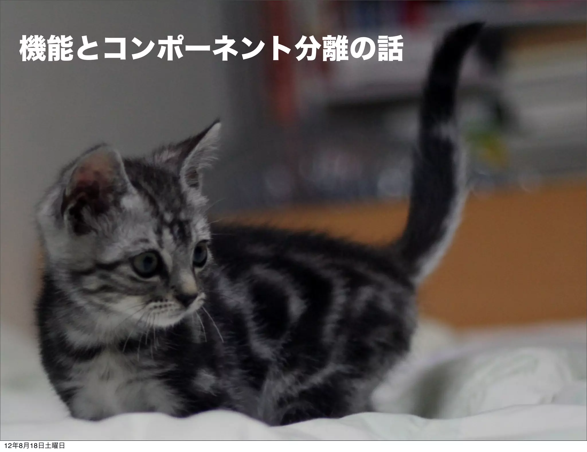 機能とコンポーネント分離の話




12年8月18日土曜日
 