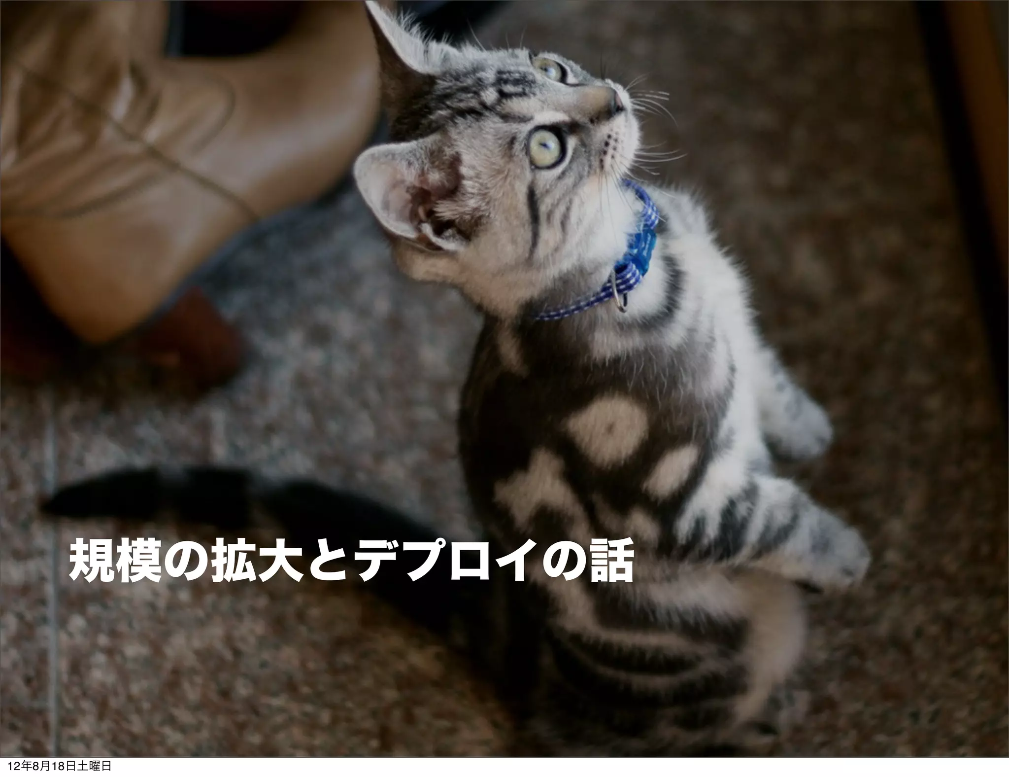規模の拡大とデプロイの話



12年8月18日土曜日
 