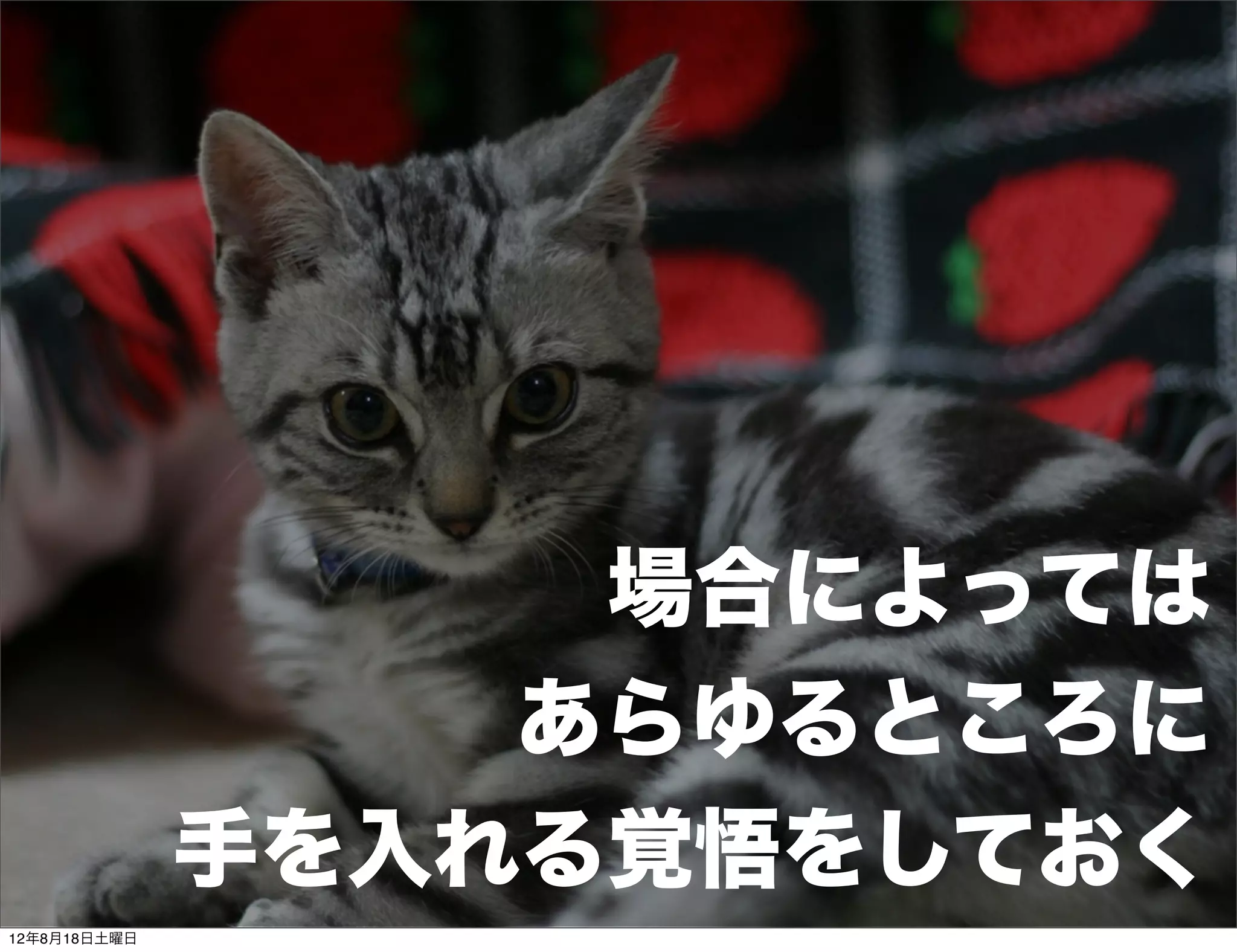 場合によっては
                  あらゆるところに
              手を入れる覚悟をしておく
12年8月18日土曜日
 
