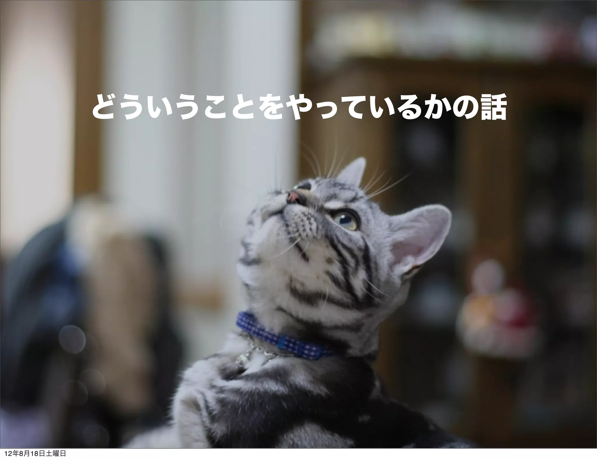 どういうことをやっているかの話




12年8月18日土曜日
 