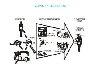 CHAIN OF INFECTION
 