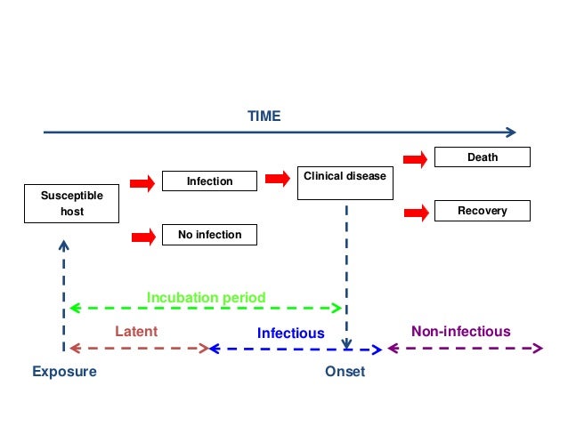 Incubation Period For Flu