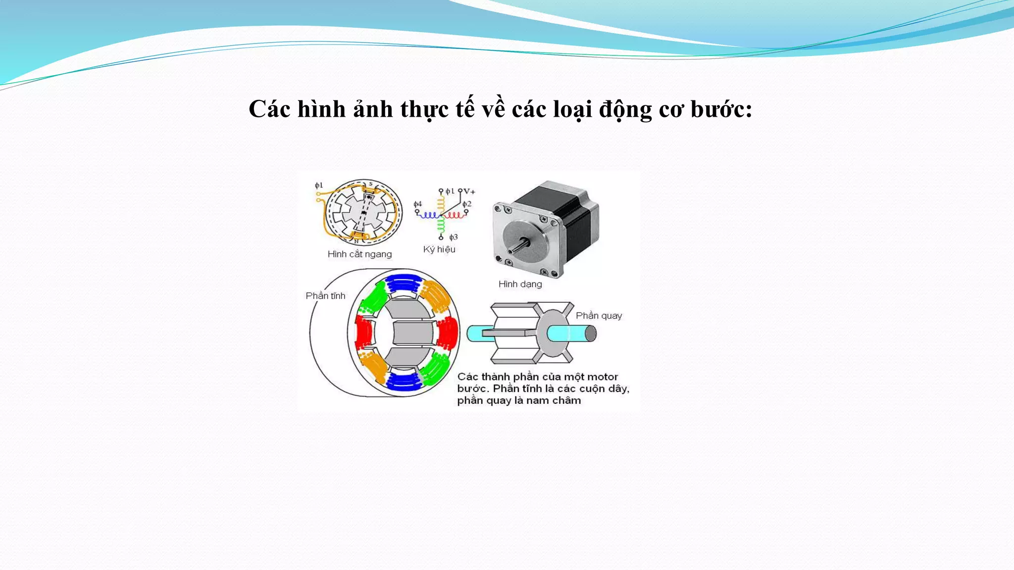 Các hình ảnh thực tế về các loại động cơ bước:
 