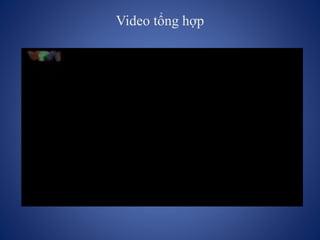 Video tổng hợp
 