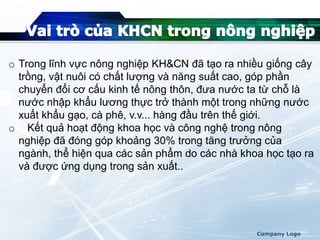 Company Logo
o Trong lĩnh vực nông nghiệp KH&CN đã tạo ra nhiều giống cây
trồng, vật nuôi có chất lượng và năng suất cao, góp phần
chuyển đổi cơ cấu kinh tế nông thôn, đưa nước ta từ chỗ là
nước nhập khẩu lương thực trở thành một trong những nước
xuất khẩu gạo, cà phê, v.v... hàng đầu trên thế giới.
o Kết quả hoạt động khoa học và công nghệ trong nông
nghiệp đã đóng góp khoảng 30% trong tăng trưởng của
ngành, thể hiện qua các sản phẩm do các nhà khoa học tạo ra
và được ứng dụng trong sản xuất..
 