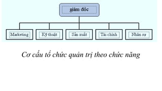 Cơ cấu tổ chức quản trị theo chức năng
 