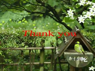 câu hỏi trắc nghiệm khoáng da lượng