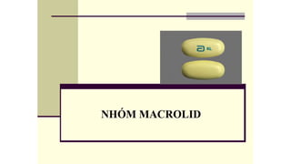 Nhom macrolid