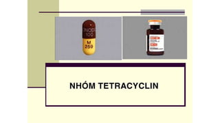Nhóm thuốc Tetracyclin