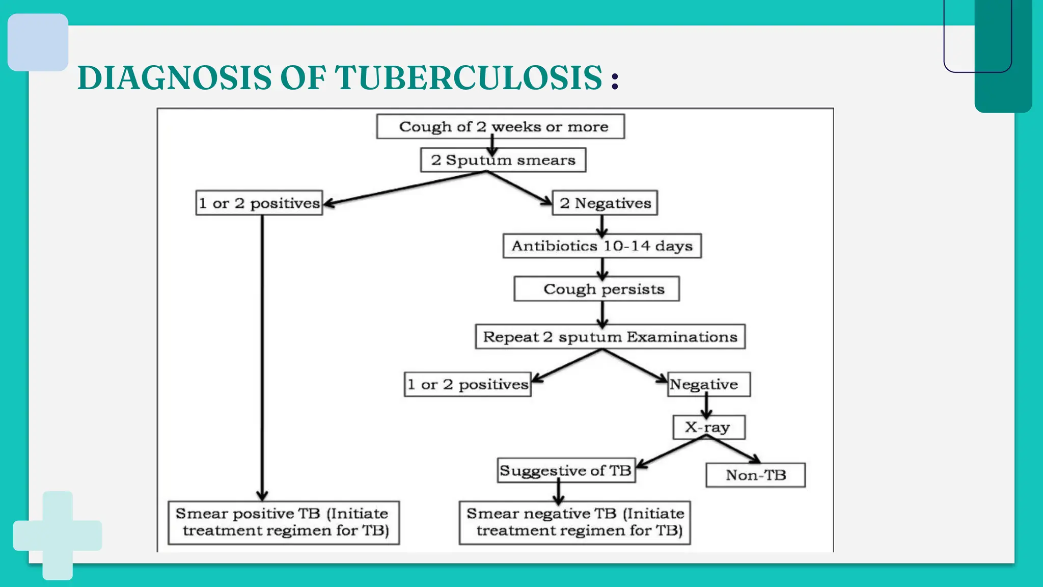 DIAGNOSIS OF TUBERCULOSIS :
 