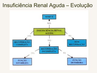 Insuficiência Renal Aguda – Evolução
 