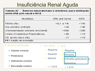 Insuficiência Renal Aguda
 
