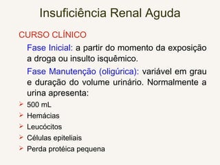 Insuficiência Renal Aguda
CURSO CLÍNICO
Fase Inicial: a partir do momento da exposição
a droga ou insulto isquêmico.
Fase Manutenção (oligúrica): variável em grau
e duração do volume urinário. Normalmente a
urina apresenta:
 500 mL
 Hemácias
 Leucócitos
 Células epiteliais
 Perda protéica pequena
 