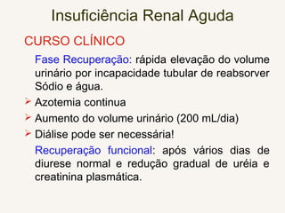 Insuficiência Renal Aguda
CURSO CLÍNICO
Fase Recuperação: rápida elevação do volume
urinário por incapacidade tubular de reabsorver
Sódio e água.
 Azotemia continua
 Aumento do volume urinário (200 mL/dia)
 Diálise pode ser necessária!
Recuperação funcional: após vários dias de
diurese normal e redução gradual de uréia e
creatinina plasmática.
 