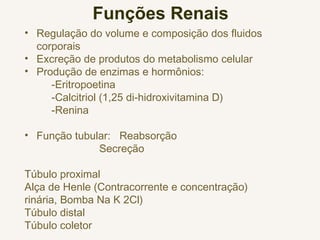 Funções Renais
• Regulação do volume e composição dos fluidos
corporais
• Excreção de produtos do metabolismo celular
• Produção de enzimas e hormônios:
-Eritropoetina
-Calcitriol (1,25 di-hidroxivitamina D)
-Renina
• Função tubular: Reabsorção
Secreção
Túbulo proximal
Alça de Henle (Contracorrente e concentração)
rinária, Bomba Na K 2Cl)
Túbulo distal
Túbulo coletor
 