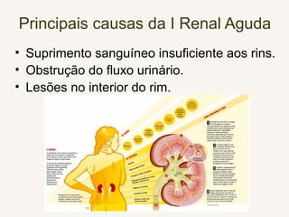 Principais causas da I Renal Aguda
• Suprimento sanguíneo insuficiente aos rins.
• Obstrução do fluxo urinário.
• Lesões no interior do rim.
 