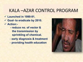 KALA –AZAR CONTROL PROGRAM
 Launched in 1990-91.
 Goal- to eradicate by 2010.
 Action:-
- reduce no. of vector &
the transmission by
sprinkling of chemical.
- early diagnosis & treatment
- providing health education
 