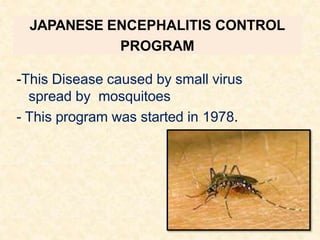 JAPANESE ENCEPHALITIS CONTROL
PROGRAM
-This Disease caused by small virus
spread by mosquitoes
- This program was started in 1978.
 