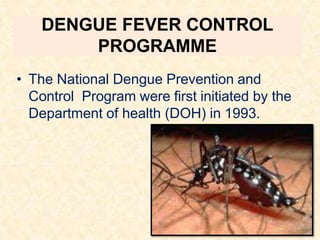 DENGUE FEVER CONTROL
PROGRAMME
• The National Dengue Prevention and
Control Program were first initiated by the
Department of health (DOH) in 1993.
 